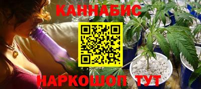 a pvp Обь