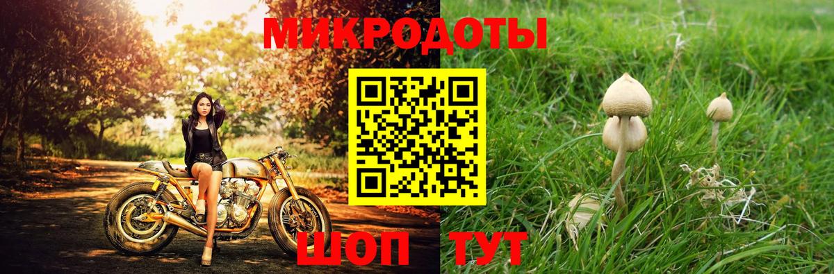 Псилоцибиновые грибы Psilocybe  Вход с VPN  Рославль 
