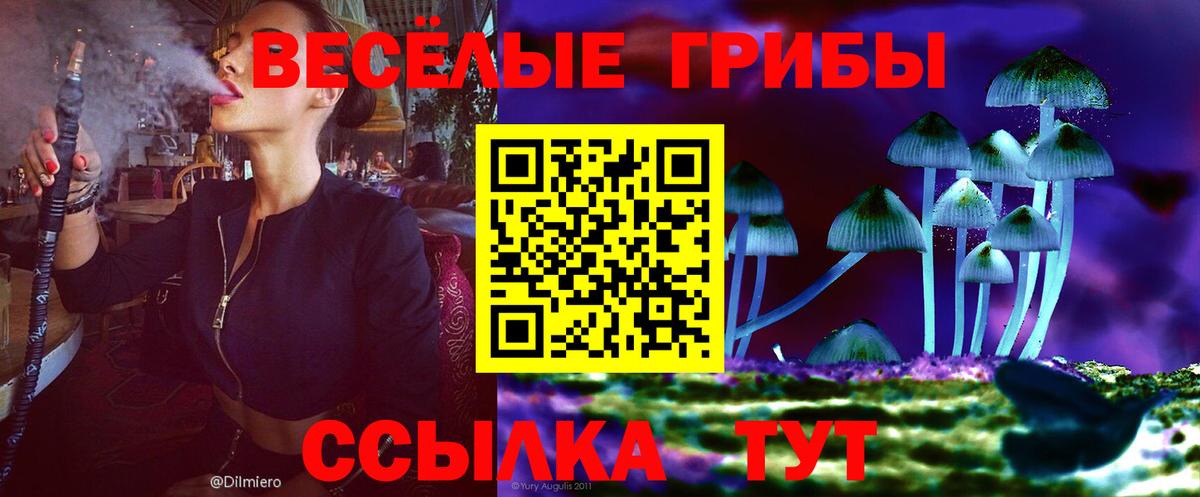 Галлюциногенные грибы Magic Shrooms Рославль